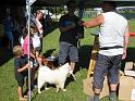 IMG_2625