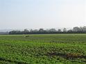 IMG_0705