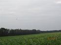 IMG_0708