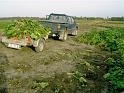 PICT0825