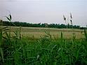 PICT2005