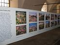 IMG_3054