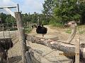 IMG_5104_2